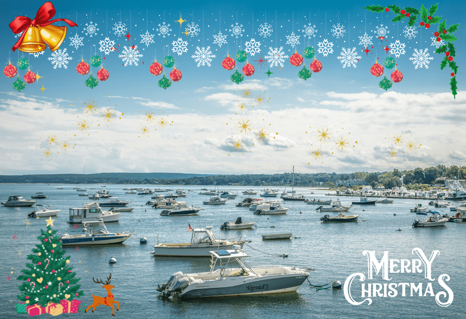 Torquay - Turkey & Tinsel 