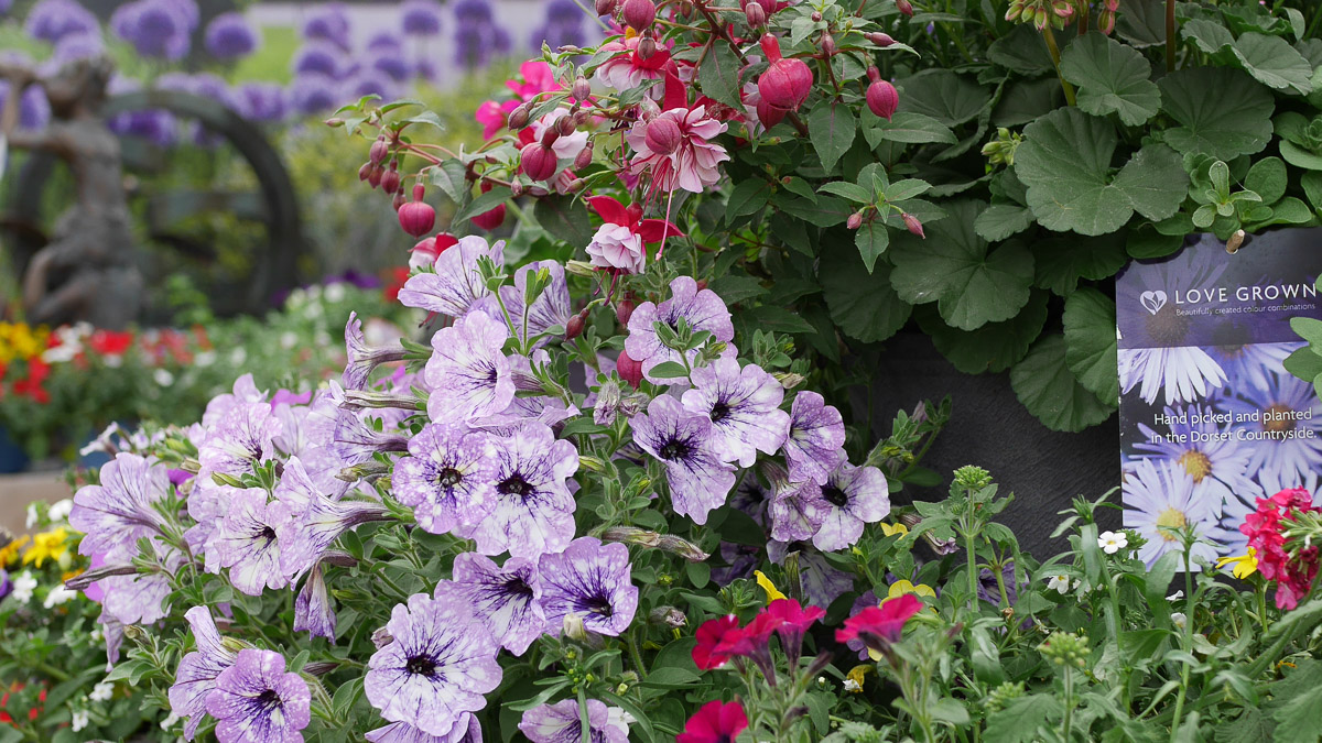 Guildford & Forest Lodge Garden Centre