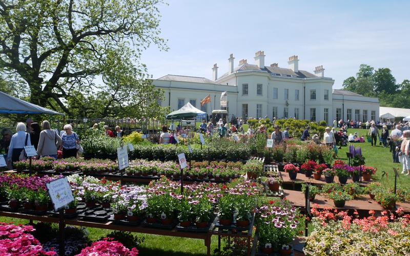 Hylands House National Flower show